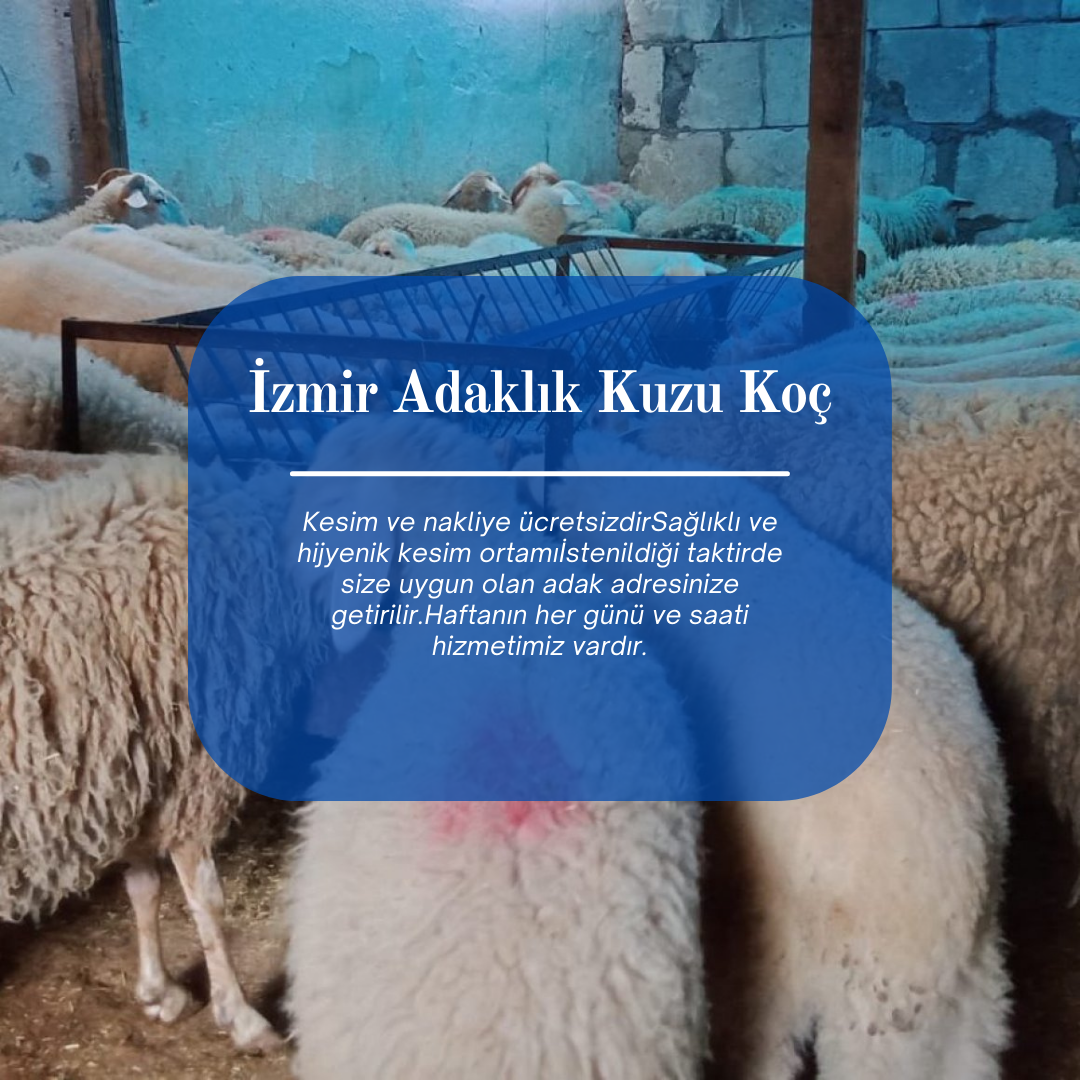 Adak İzmir - Hakkımızda